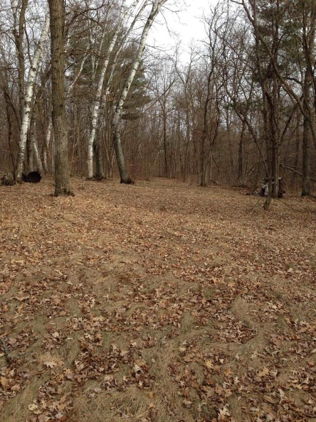 7 Acre Lot