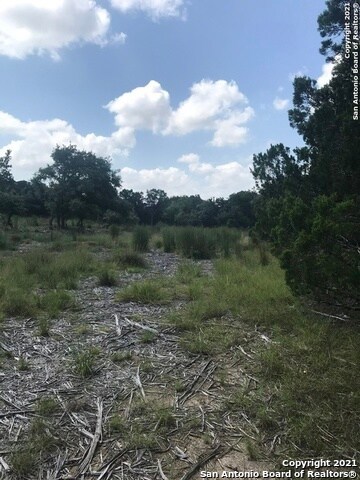 27206 Bent Trail, Fair Oaks, TX 78006 - photo 2