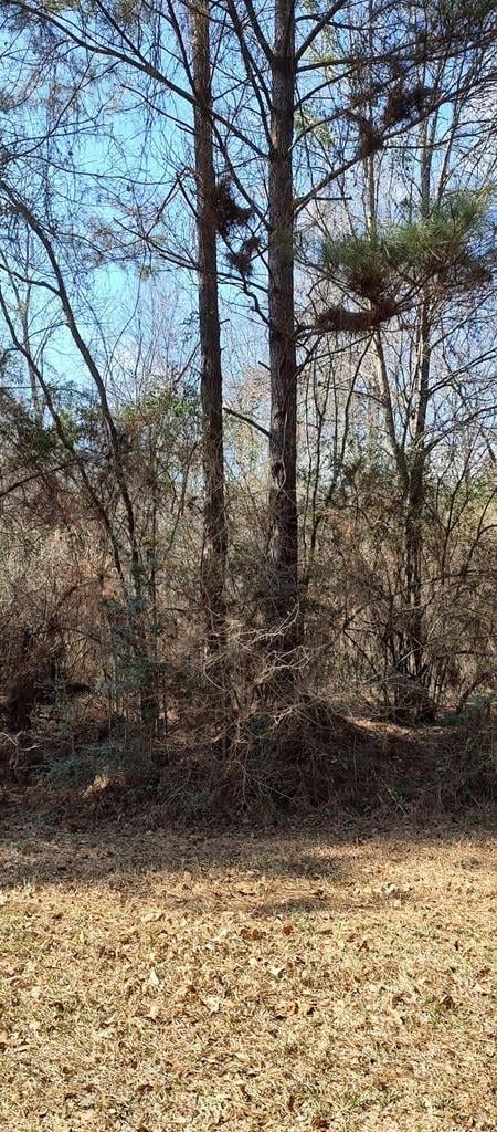 NHN Pecan Dr, Lumberton, MS 39455 - photo 2