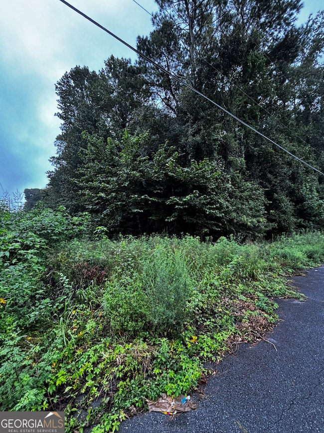 8214 Freestone Dr, Jonesboro, GA 30236 - photo 2