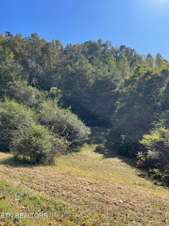 598DC4AC-8A9B-4ED1-88DA-77D7BB7EA0D3