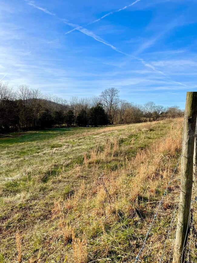 231 Highway 1003, Somerset, KY 42501 - photo 3