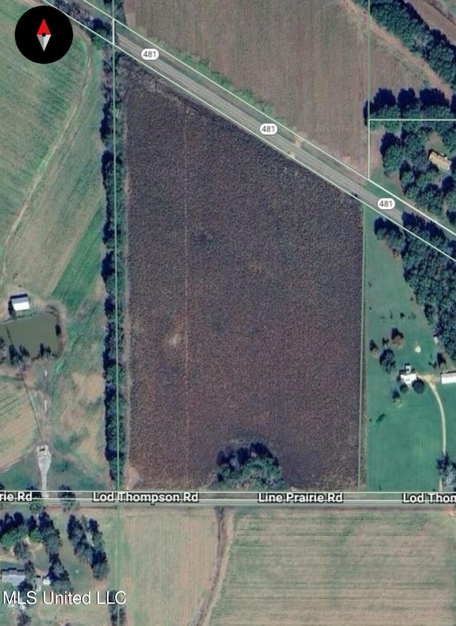 0 Line Prairie Rd, Morton, MS 39117 - photo 3