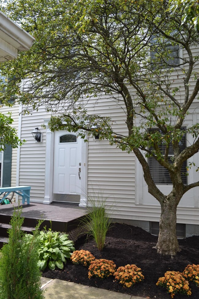 Front Landscaping