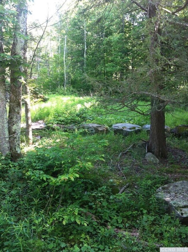 71 Hunter Ln, Hunter, NY 12492 - photo 4