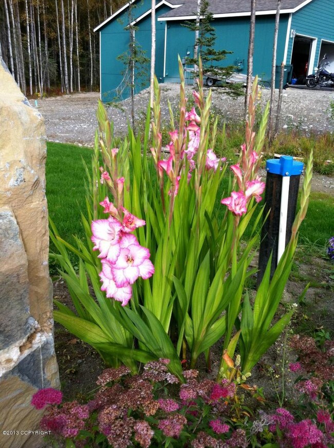 garden2