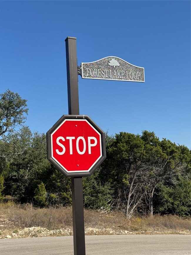 8421 Forest Lake Loop, Cleburne, TX 76033 - photo 5