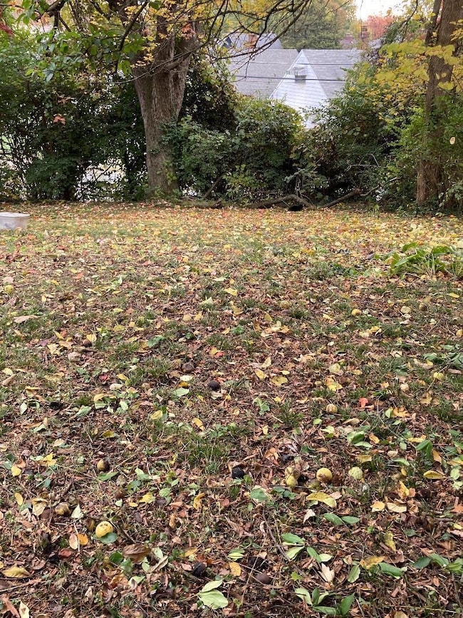 837 Sunbury Rd, Columbus, OH 43219 - photo 3