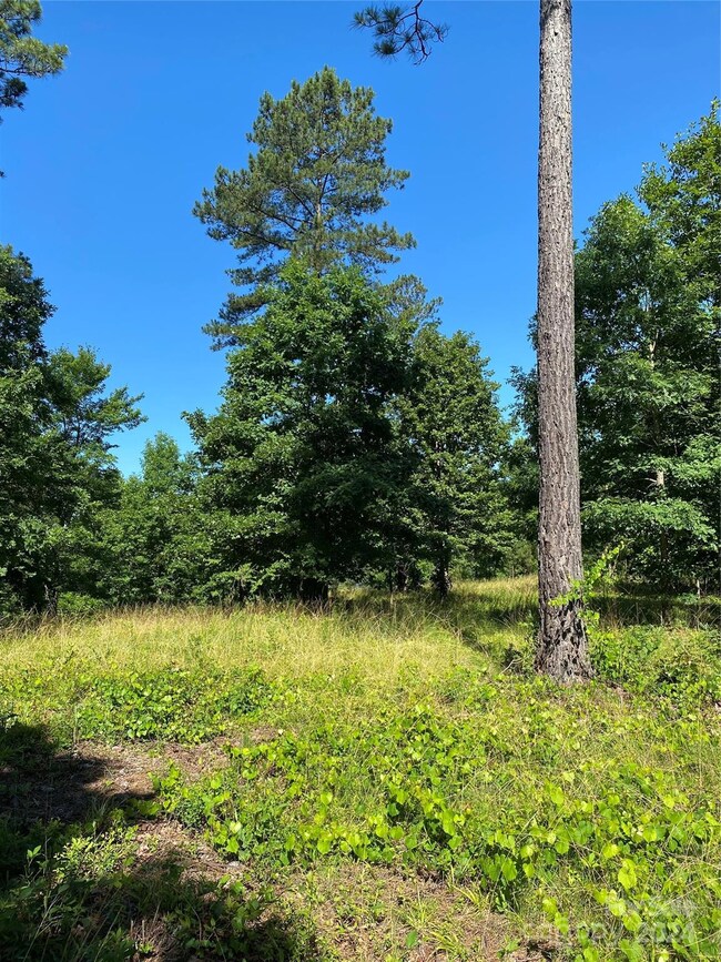 2108 Island View Ln NE, Connelly Spring, NC 28612 - photo 5