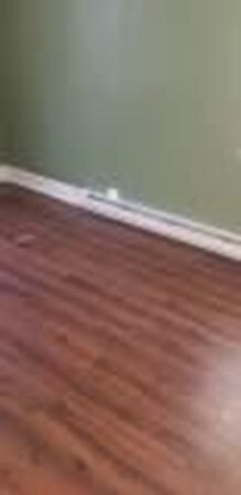 14 Ladybank Rd, Worcester, MA 01606 - photo 6