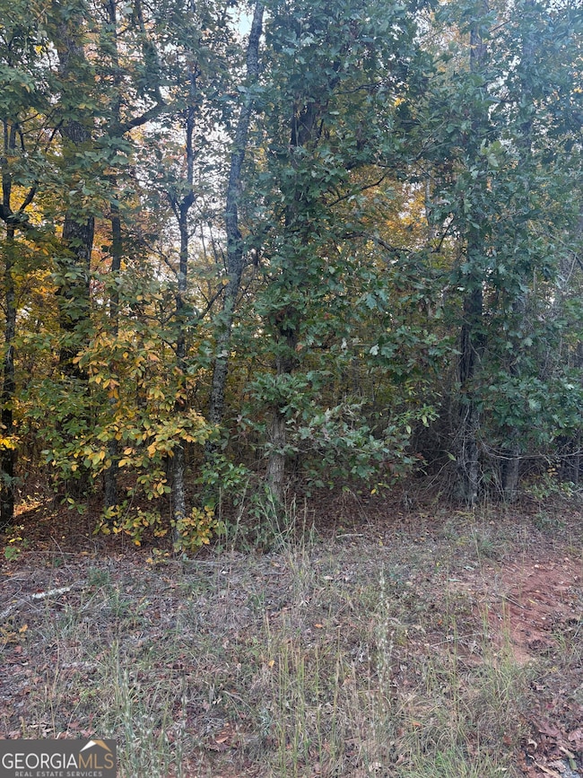 105 Magnolia Dr NW, Milledgeville, GA 31061 - photo 4