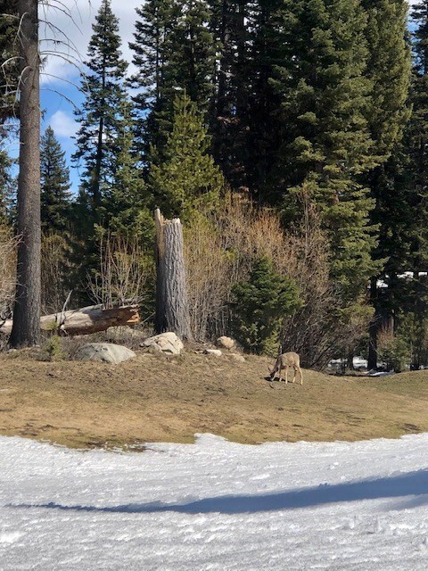 View from Golf Course