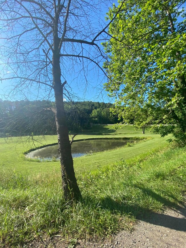 Lake across street