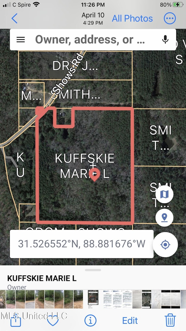 No Shows Rd, Waynesboro, MS 39367 - photo 2