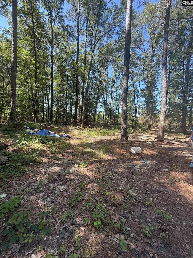 1503 Spears Creek Rd, Lugoff, SC 29078 - photo 6