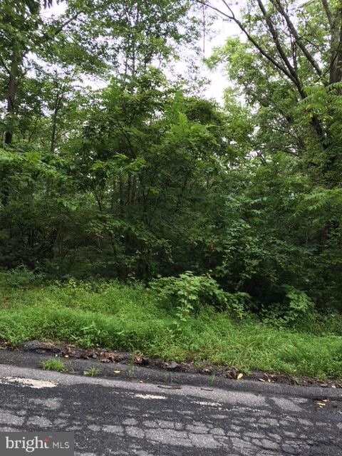0 Hill Rd unit PABK345978, Palm, PA 18070 - photo 5