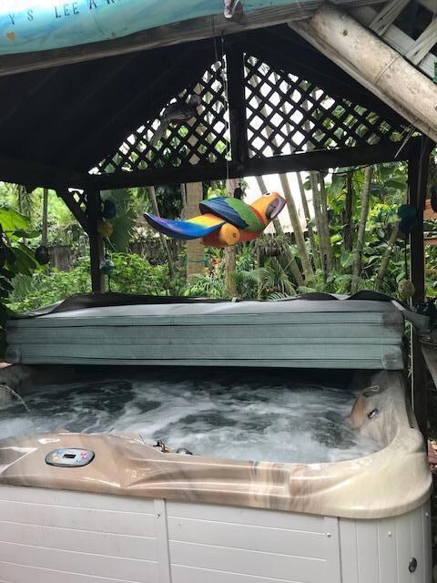 Jacuzzi/hottub