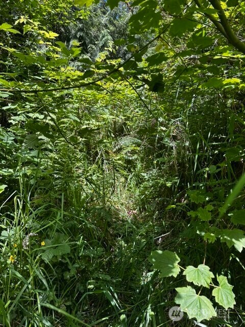 0 Hoff Cir, Everson, WA 98247 - photo 2