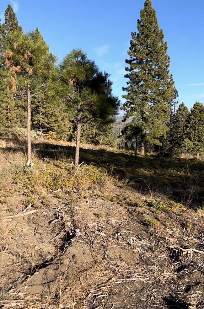 0 Shaver Lake unit 640388, Auberry, CA 93602 - photo 5