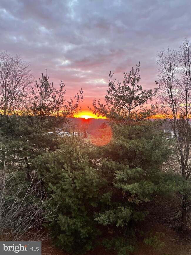 3051 Dorchester St E unit 108, Furlong, PA 18925 - photo 4