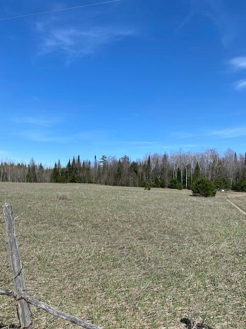 0 Old 27 N unit Parcel A and B, Vanderbilt, MI 49795 - photo 2