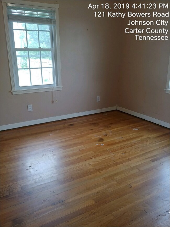 121 Bowers St, Johnson City, TN 37601 - photo 6