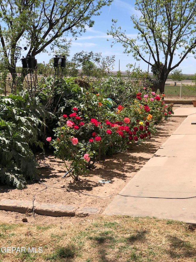 7770 Westside Dr, Canutillo, TX 79835 - photo 7