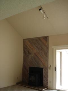 C4 Living Fire Insert