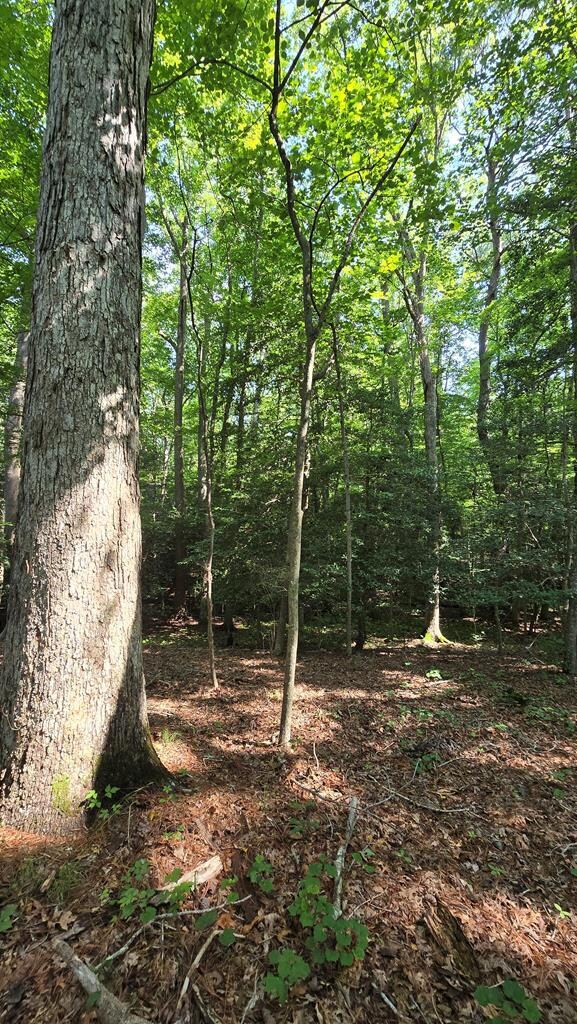 Lot A Airport Dr unit A, Melfa, VA 23410 - photo 5