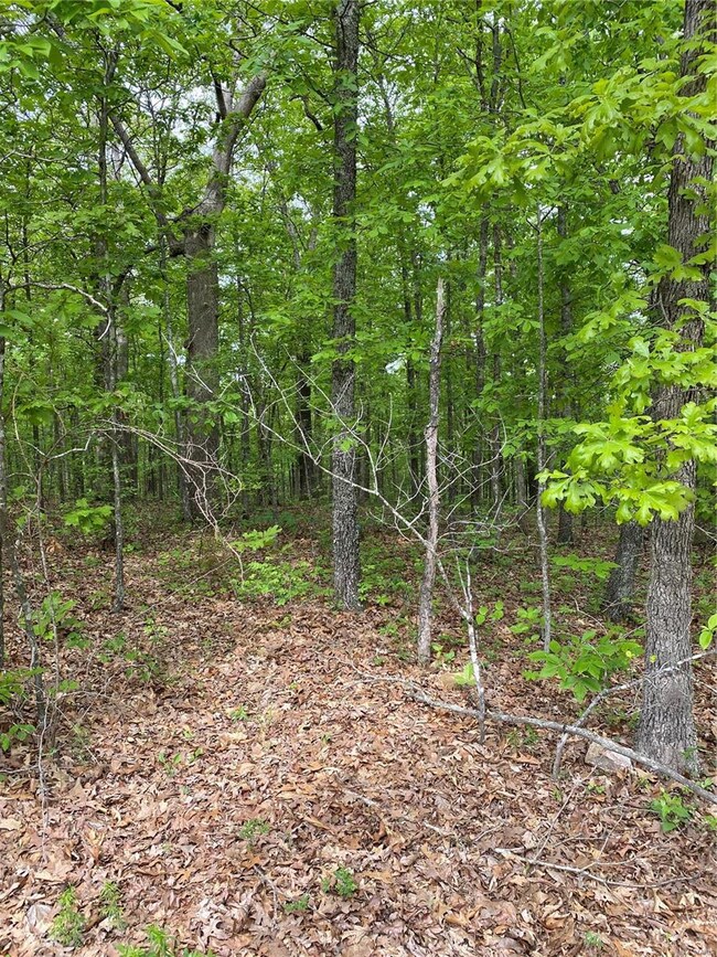 0 Hawksbill Dr, Cullen Township, MO 65459 - photo 3