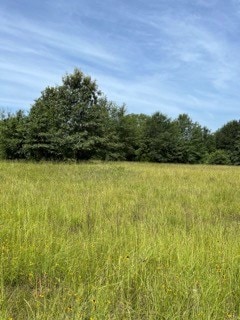 TBD County Road 2610, Tenn Colony, TX 75861 - photo 3