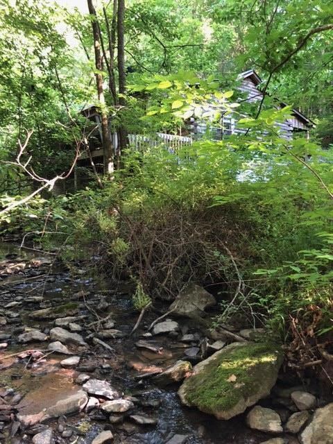 Creek1
