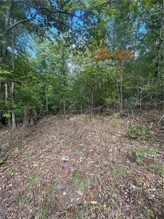 Lot 12 Blk 2 Bracknell Ln, Bella Vista, AR 72715 - photo 2