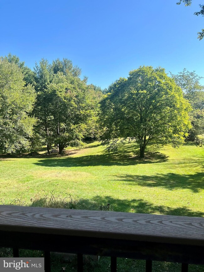 3145 Holly Springs Rd, Amissville, VA 20106 - photo 5