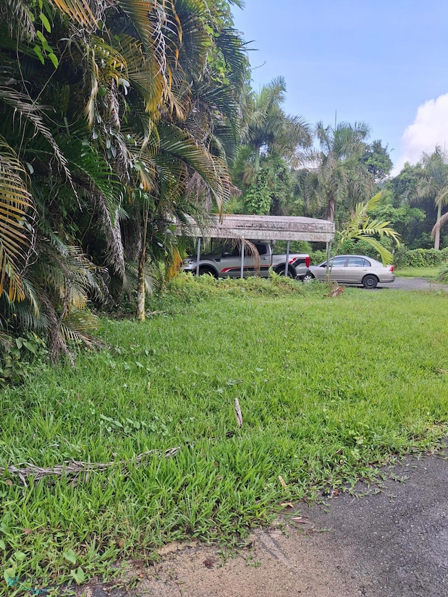 Km 1.5 Carretera 197, Aguas Buenas, PR 00703 - photo 7