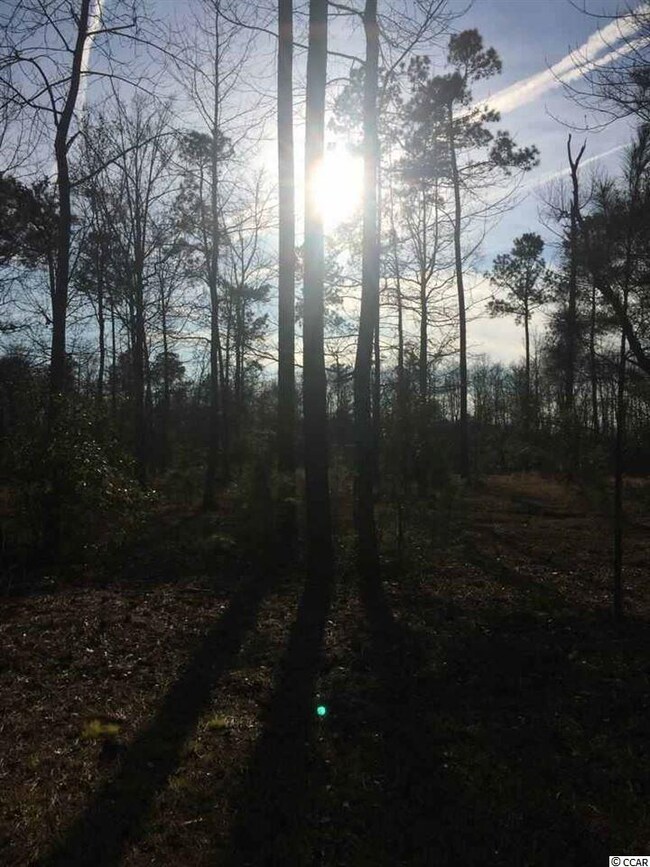 Lot 11 Bantry Ln, Conway, SC 29526 - photo 2