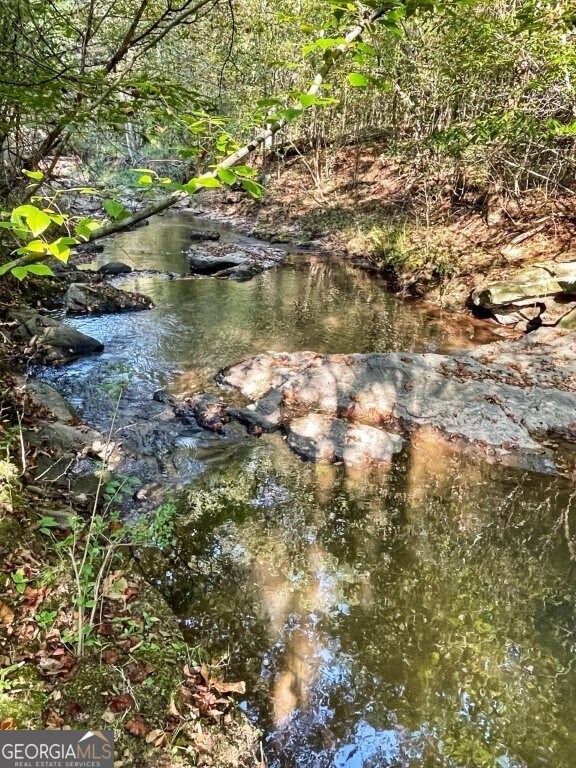 0 E Highway 36 unit 10652570, Jackson, GA 30233 - photo 5