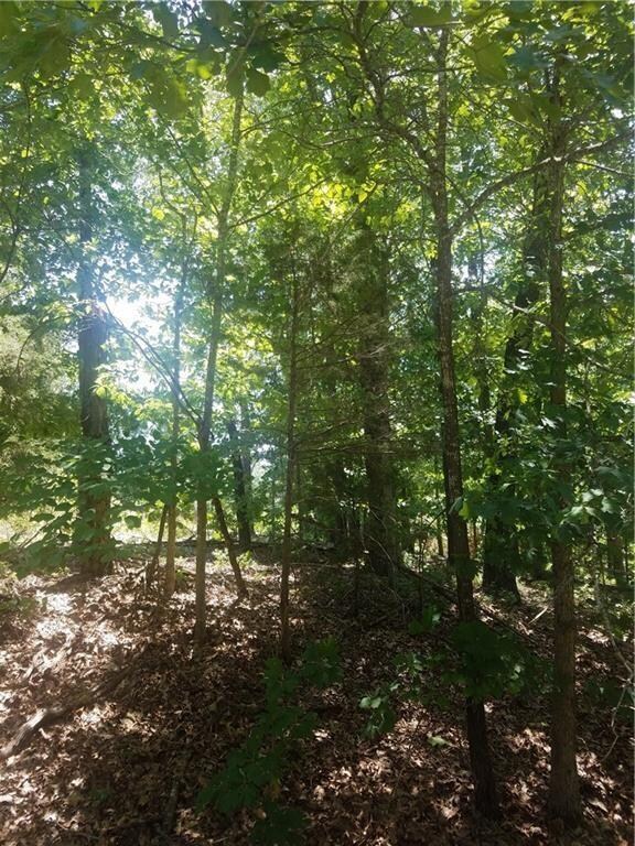 0 Manton Ln Trafalgar Rd unit 1131555, Bella Vista, AR 72714 - photo 2