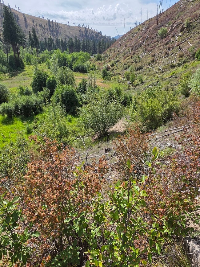 5855 Serenity Ln, Conner, MT 59827 - photo 2