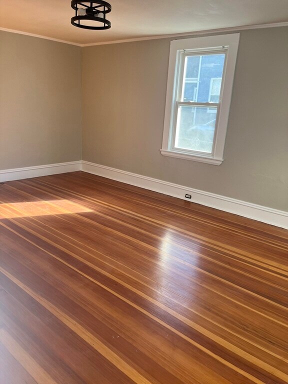 16-18 Bolton St unit 18, Waltham, MA 02453 - photo 7