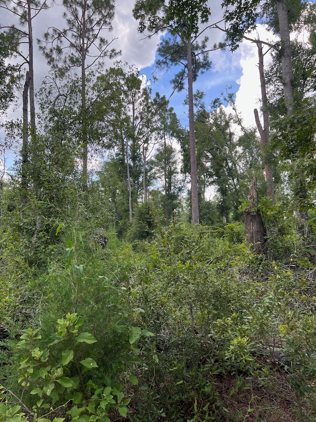 17582 14th St, Live Oak, FL 32060 - photo 6