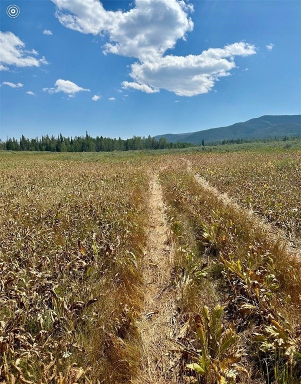 Photo of actual land and view from land
