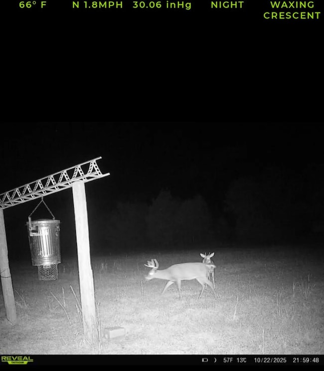 650 Flowers Rd, Madison, FL 32340 - photo 6