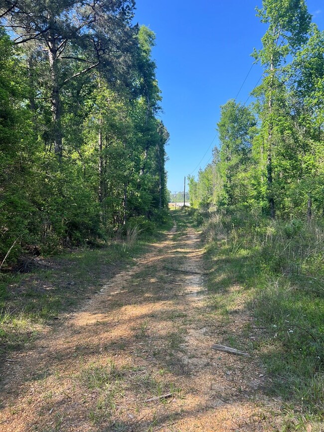 1049 Candy Ln, McComb, MS 39648 - photo 4