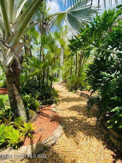 lush landscape