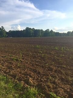 0 Pomona Claysville Rd unit 972122, Crossville, TN 38571 - photo 4