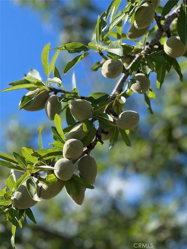 0 Capay Rd unit SN25042539, Corning, CA 96021 - photo 5