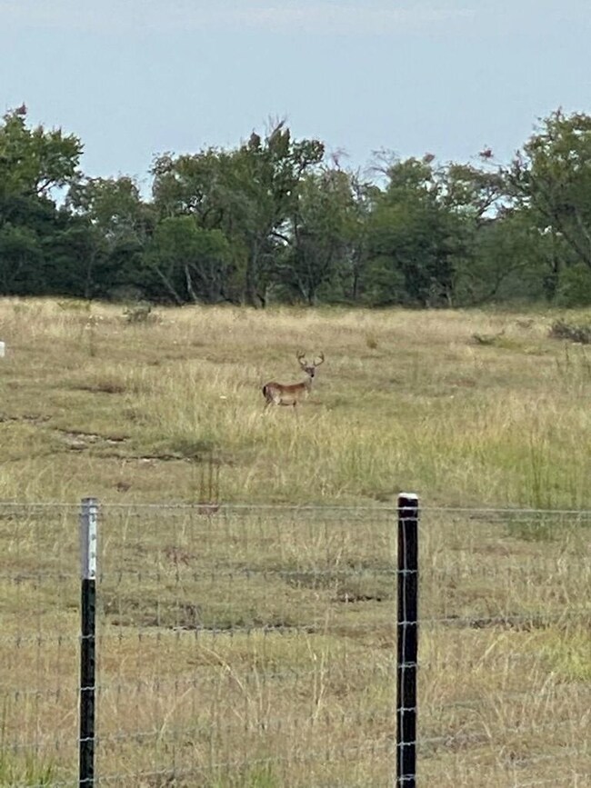 77 Last Trail, Fredericksburg, TX 78624 - photo 5