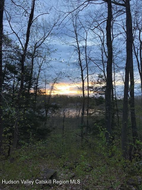 TBD Lily Lake Rd, Highland, NY 12528 - photo 6