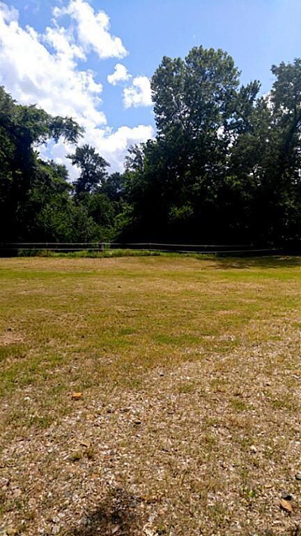 24910 Mathews Place Rd, Hockley, TX 77447 - photo 5